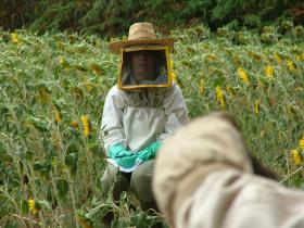 photo coins arrondis